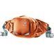 Сумка поясная Deuter Pulse 5 л 9319 Chestnut-Teal 3910223 9319 фото