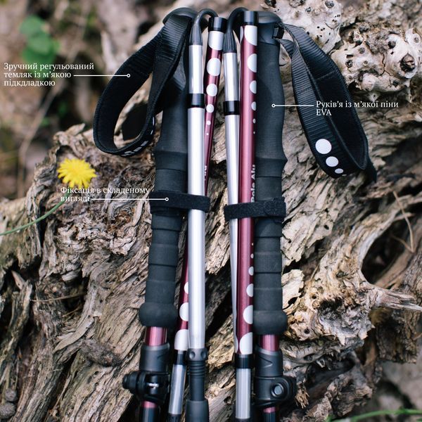 Палиці трекінгові Tribe Z-Pole Alu T-ME-0024 Plum T-ME-0024-plum фото