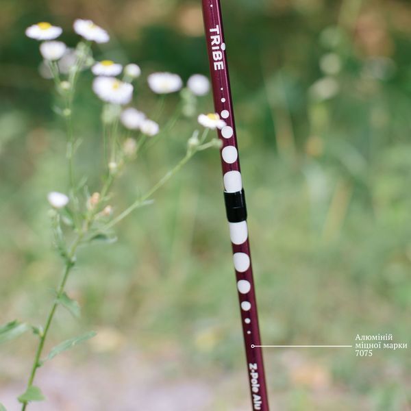 Палиці трекінгові Tribe Z-Pole Alu T-ME-0024 Plum T-ME-0024-plum фото