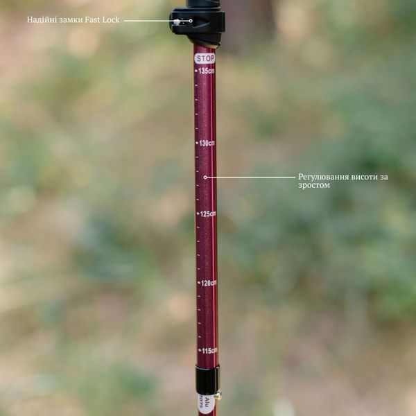 Палиці трекінгові Tribe Z-Pole Alu T-ME-0024 Plum T-ME-0024-plum фото
