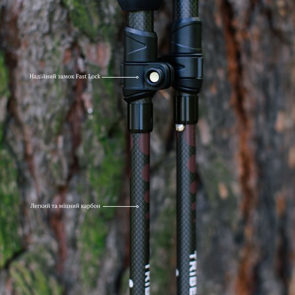 Палиці трекінгові Tribe Z-Pole Carbon T-ME-0025 Plum T-ME-0025-plum фото