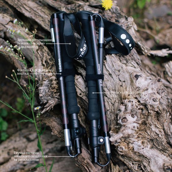 Палиці трекінгові Tribe Z-Pole Carbon T-ME-0025 Plum T-ME-0025-plum фото
