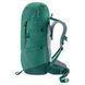 Рюкзак туристический Deuter Fox 40 л 2231 Alpinegreen-Forest 3611222 2231 фото 6