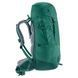 Рюкзак туристический Deuter Fox 40 л 2231 Alpinegreen-Forest 3611222 2231 фото 4
